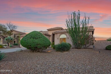 Desert Landscaping