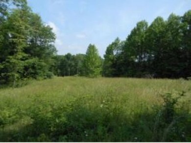 Meadow