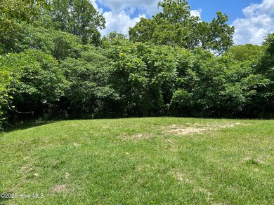 106 W Barrett St, Carthage, NC 28327 - photo 2