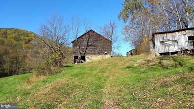 687 Scrabble Rd, Castleton, VA 22716 - photo 7