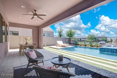 Amazing Backyard