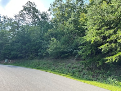 257 Andes Ridge, Ellijay, GA 30436 - photo 3