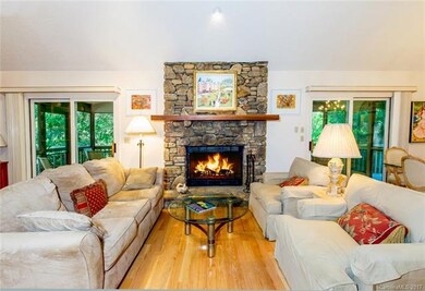 Wood Burning Stone Fireplace