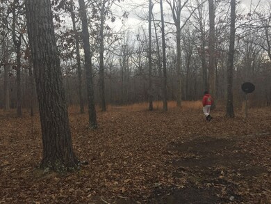 Another view of dense wooded lot