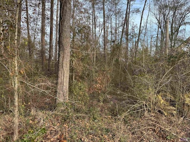 25428 Wisteria Rd, Springfield, LA 70462 - photo 4