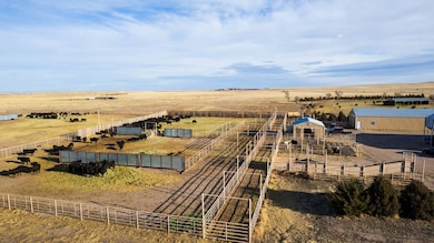 Cattle Pens