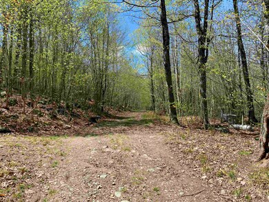 Map 248 lot 001 Hunt Rd E, Plymouth, NH 03264 - photo 2