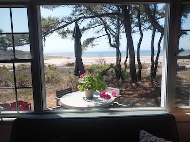 Looking out Liv Rm picture window unit 2