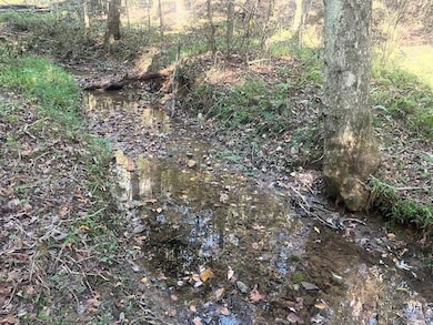 3011 Mark Foster Rd, Talking Rock, GA 30175 - photo 5