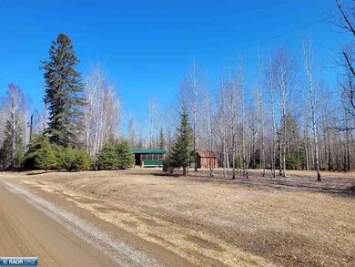 9298 Hingeley Rd, Meadowlands, MN 55765 - photo 3