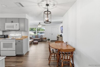 20 S Jefferson St, Beverly Hills, FL 34465 - photo 7