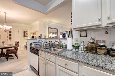 11306 Westbrook Mill Ln unit 203, Fairfax, VA 22030 - photo 3