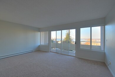 819 High St unit 315, Bellingham, WA 98225 - photo 3