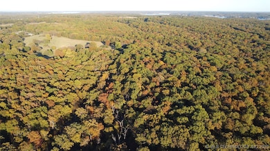 0000 Cohea Ln, Afton, OK 74331 - photo 7
