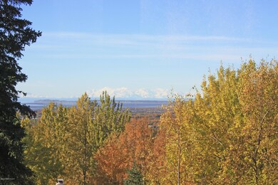 IMG_2632b