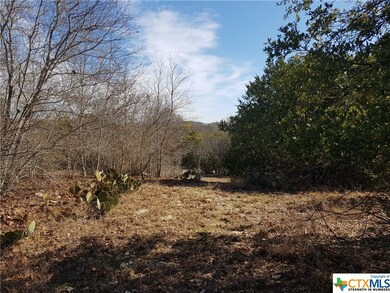 0000 County Road 4820, Kempner, TX 76539 - photo 7