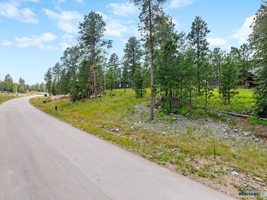 Lot 9 Block 11 Other unit Trailside Road, Lead, SD 57754 - photo 5