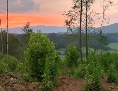 TBD Jeb Stuart Hwy, Stuart, VA 24171 - photo 2