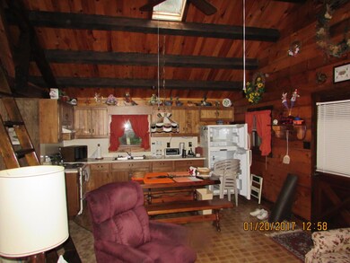 4380 Queens Run Rd, Lock Haven, PA 17745 - photo 7