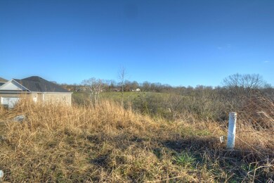 108 Blue Spruce Dr, Frankfort, KY 40601 - photo 3