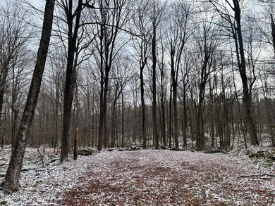 0 Wheelock Way unit PWBPW240052, Honesdale, PA 18431 - photo 4