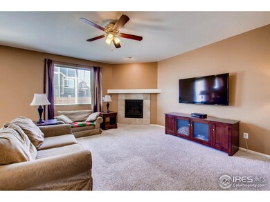 13091 Uinta St, Thornton, CO 80602 - photo 5