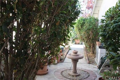 side yard prior to being trimmed