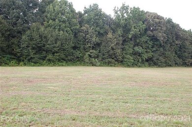 0000 Polk Ford Rd, Stanfield, NC 28163 - photo 2