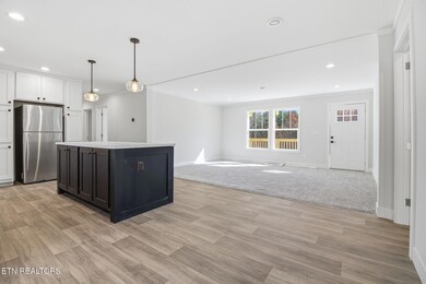 370 Tanasi Dr, Newport, TN 37821 - photo 5