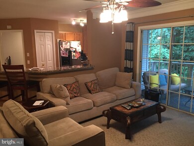 12471 Hayes Ct unit 204, Fairfax, VA 22033 - photo 3