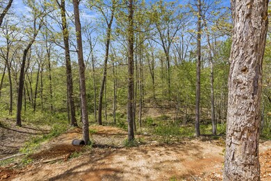 TABLE ROCK LAKE HOME REEDS SPRING