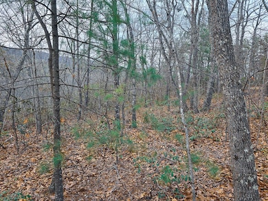 Giddens_Craig Co-02