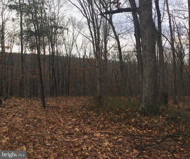 Unknown Owl Ln, Gore, VA 22637 - photo 4