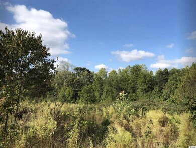 0 Abner Creek Rd unit 2116714, Greer, SC 29651 - photo 6