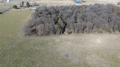 Cleared land on 3 sides of the trees
