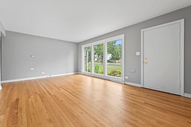 458 N Oak St, Elmhurst, IL 60126 - photo 6