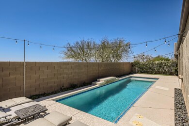 34 Back Yard