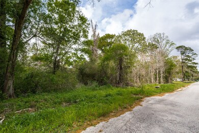 0 County Road 4322 Holly St, Dayton, TX 77535 - photo 3