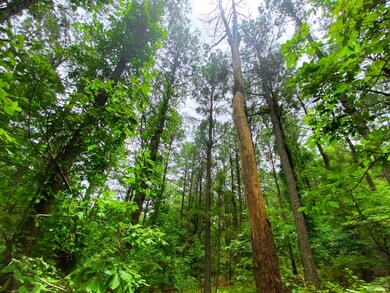 0000 Sugarberry Trail, Hochatown, OK 74728 - photo 2