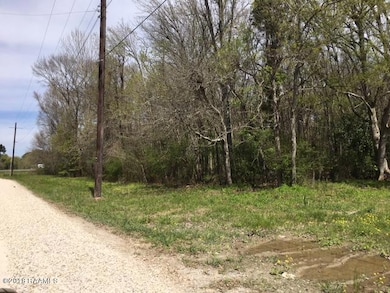 238 N Bud St, Lafayette, LA 70593 - photo 6