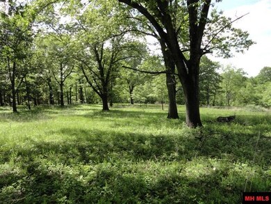 000 Diamond Bay Rd, Union Township, AR 72531 - photo 3