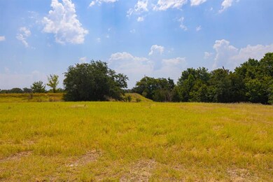 13 Aslan Rd, Poolville, TX 76487 - photo 3