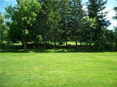 Yard/Garden. View from the house showing the priva