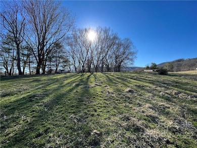 99999 Ridge Rd, Asheville, NC 28806 - photo 2