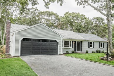 74_Monomoy-06-grass