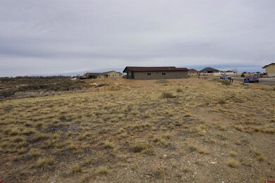 1109 Bluffs Blvd, Cortez, CO 81321 - photo 5