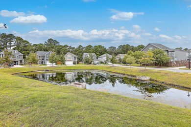 Pond View