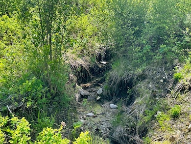Creek Running Through Property