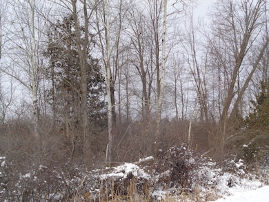 V/L 40AC Long Rapids Rd, Lachine, MI 49753 - photo 7