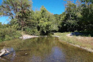 405 Cedar Creek Rd, Linden, TN 37096 - photo 5